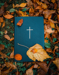 The Holy Christian Bible, Word of God with black cover and cross on it laying on the grass, being surrounded by colorful autumn or fall leaves foliage