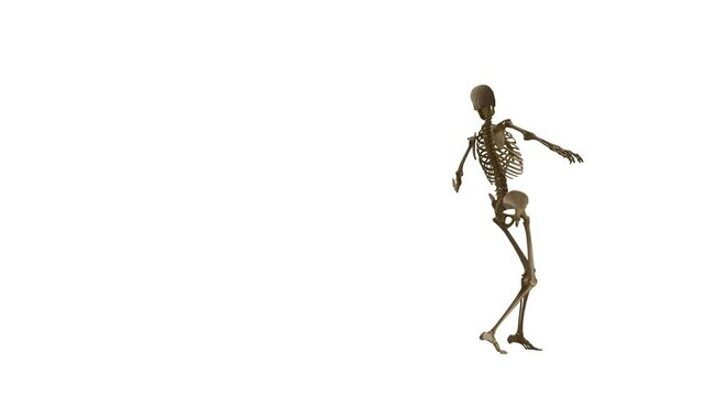 Skeleton Dance Hd. Looped. Alpha channel included.

