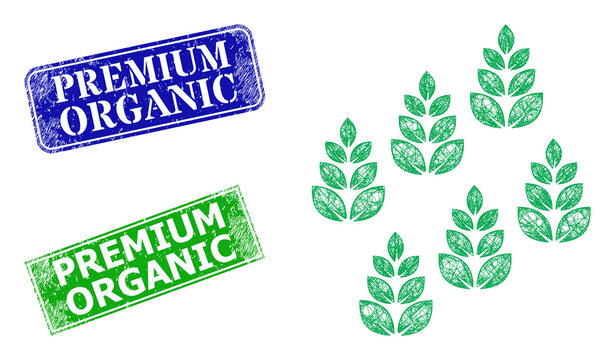 Mesh farm field image, and Premium Organic blue and green rectangle rubber badges. Mesh wireframe illustration is based on farm field pictogram.