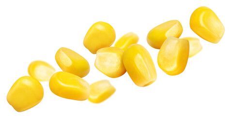 Flying corn seeds, isolated on white