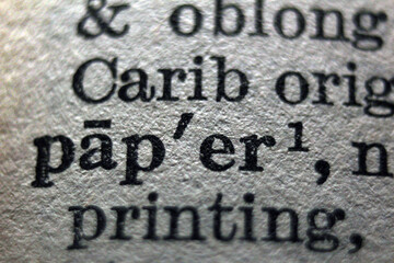 Word "paper" printed on book page, close-up