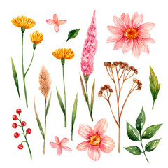 Flowers clipart in watercolor