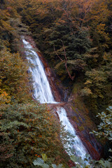 Rize waterfall in the Black Sea region of Turkey