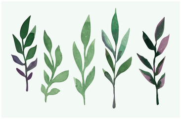 A set of watercolor leaves for decoration, decoupage. Vector illustration.