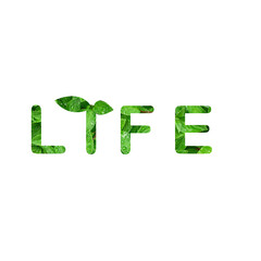 life logo