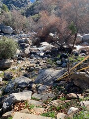 mountain river in the mountains