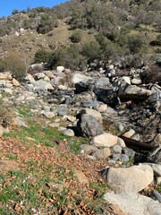 stream in the mountains