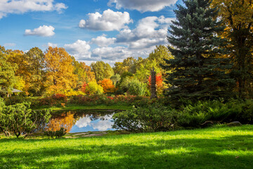 Amazing japanese garden in Moscow in autumn  - red and orange leaves in sunny day