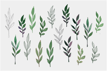 A large set of watercolor leaves for decoration, decoupage. Design of postcards in autumn colors. To create patterns. Vector illustration.