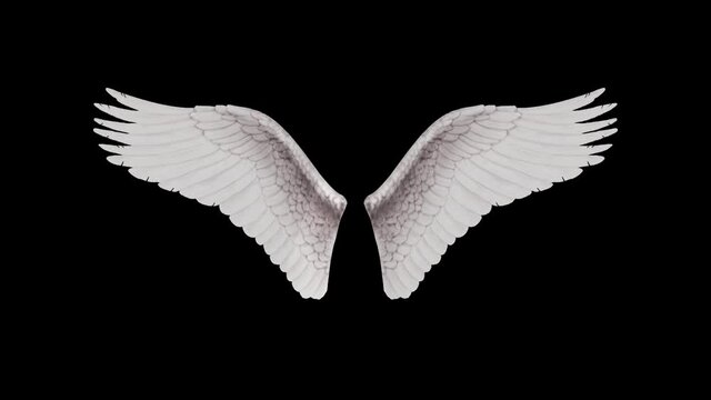 Angel Wings Looped