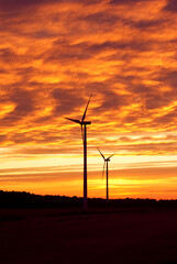 Obraz premium Electric wind turbines farm sunset
