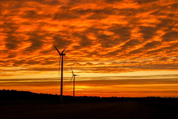 Obraz premium Electric wind turbines farm sunset