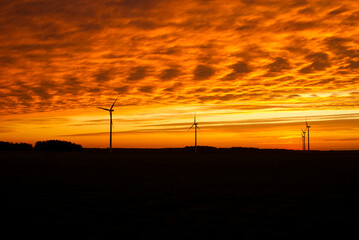Fototapeta na wymiar Electric wind turbines farm sunset
