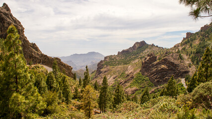 Fototapeta premium mountain and volcanic landscape of Gran Canaria, Spain