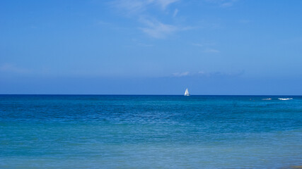 sail boat sailing sail blue sea ocean