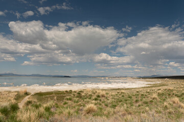 The white salty Mono Lake on a partly cloudy day, panoramic view, featuring the vegetaion and salty shore