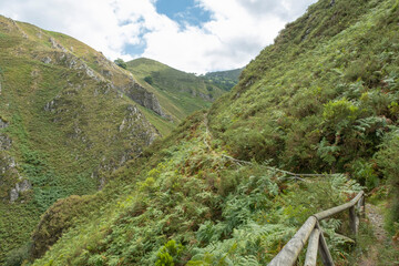 A path or footpath runs along a mountainside covered with ferns and vegetation; a wooden railing in the foreground, Villamayor, Asturias, Spain