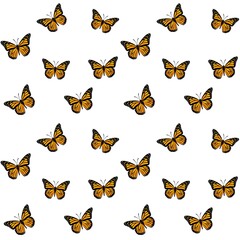 Fototapeta premium Seamless monarch butterfly background pattern on white