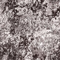 Seamless lichen moss stone texture background