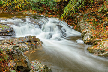 "Little River In The Fall"