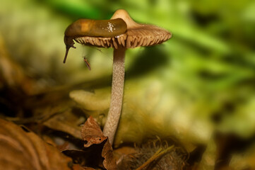 What's going on down there?