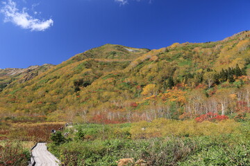 Fototapeta na wymiar 北アルプスの秋　紅葉の栂池自然園トレッキング　