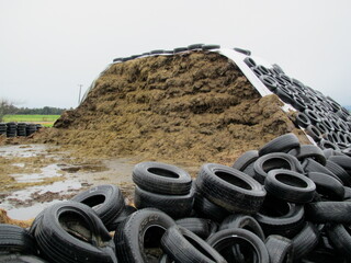 silage pit