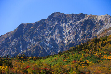 Fototapeta premium 北アルプスの秋 紅葉の栂池自然園トレッキング 白馬岳