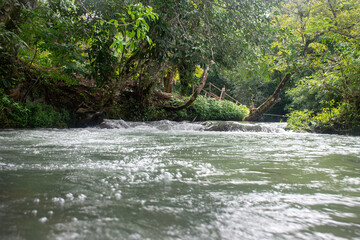Rio da Prata - clear water river