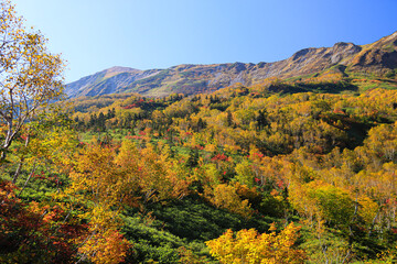 北アルプスの秋　紅葉の栂池自然園トレッキング　