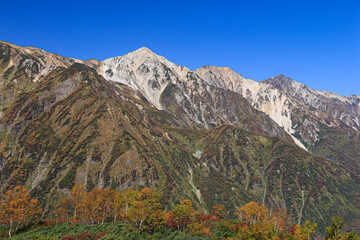 北アルプスの秋　八方尾根　八方池から後立山連峰（白馬三山）を望む