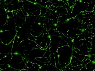 Green web technology light texture