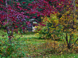 Rural cottage  with fall color.