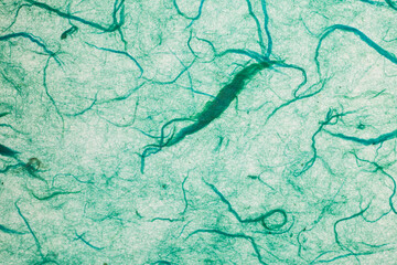 Green mulberry paper.