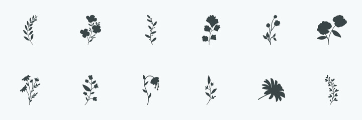floral set of silhouettes of plants and flowers