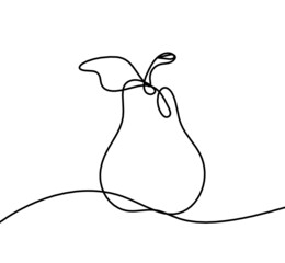 Drawing line pear on the white background. Vector