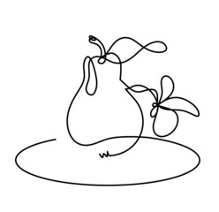 Drawing line pear on the white background. Vector
