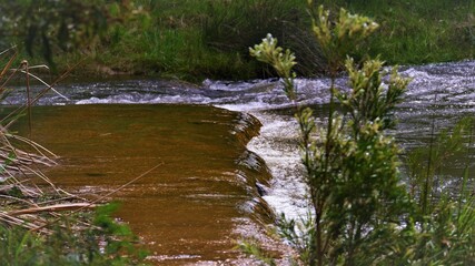 Fototapeta na wymiar flowing river in the forest