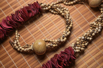 bio jewerly, biojoias from amazon wooden necklace