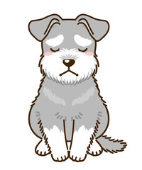 落ち込むシュナウザー（ソルトペッパー）