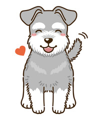 なつくシュナウザー（ソルトペッパー）