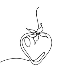 Drawing line strawberry on the white background