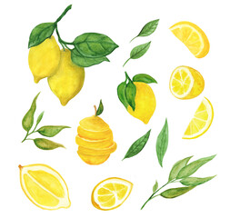 Set of a watercolor lemons