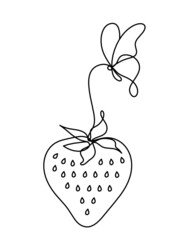 Drawing line strawberry on the white background. Vector