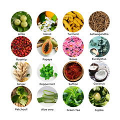 ingredients for beauty products, organic ingredients