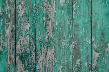 Fototapeta na wymiar Close-up of old wooden boards with peeling paint. Textured surface. Background
