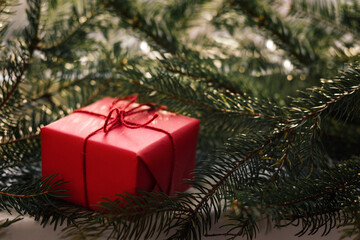 Fototapeta na wymiar Christmas card Christmas background with red Christmas present on branches of green Christmas tree