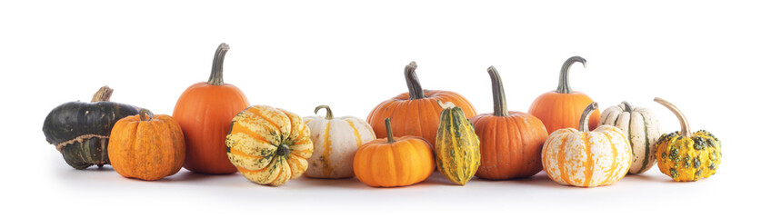 Many pumpkins isolated on white background