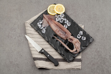 오징어,요리,음식,음식재료,재료,해산물,날것,맛,사람없음,스튜디오,신선,실내,얼음,오브젝트