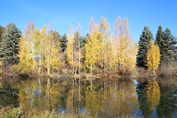 Colors Of Autumn, William Hawrelak Park, Edmonton, Alberta